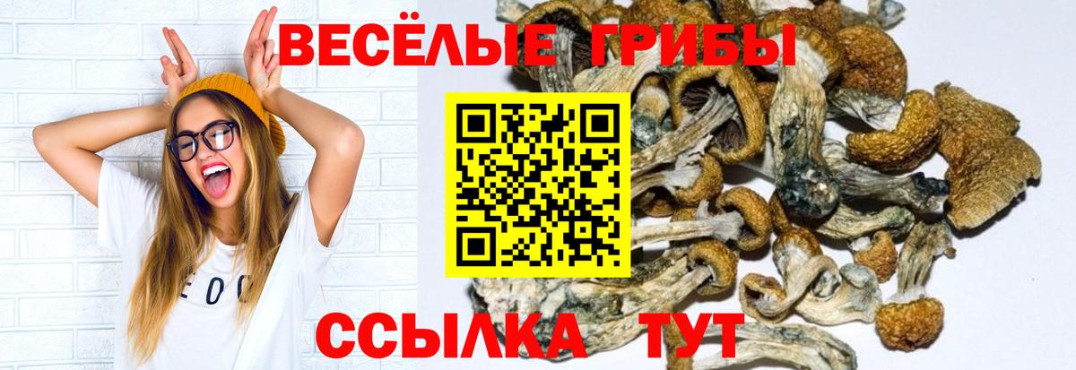 Псилоцибиновые грибы Psilocybe  Вход с VPN  Ханты-Мансийск 